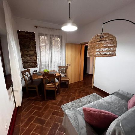 Eden Garden Apartment Brasov Exterior photo